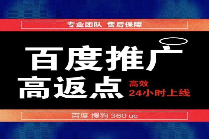 百度竞价推广公司经典案例解析：广告投放策略的智慧